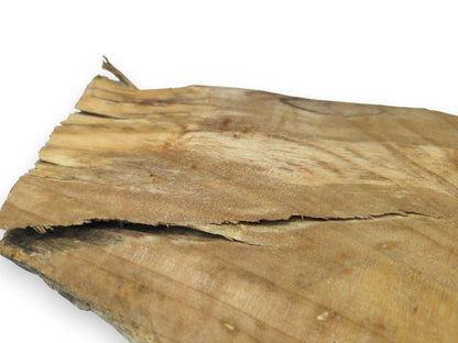 Close-up of a light brown alder wood slice with a prominent horizontal crack and natural edges.