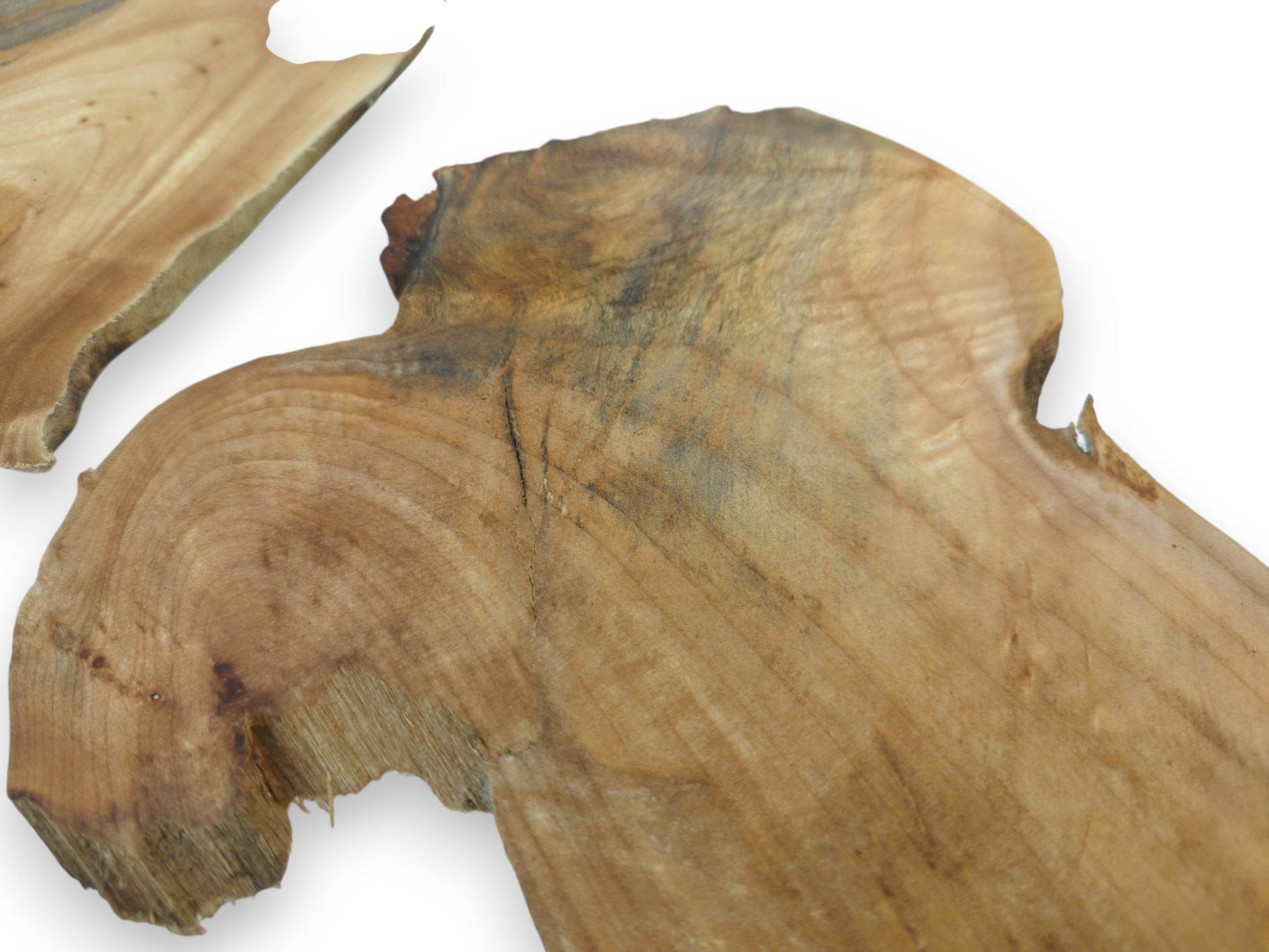 Two light brown alder wood slices with natural, irregular edges and visible grain patterns.