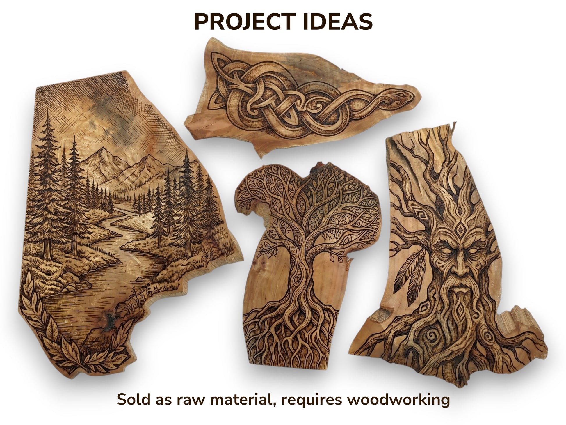Four irregularly shaped alder wood slices, each carved with different intricate designs, on a white background.