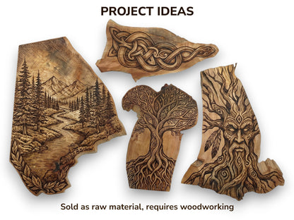 Four irregularly shaped alder wood slices, each carved with different intricate designs, on a white background.