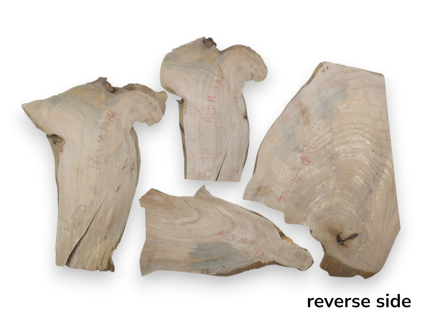 Four raw, irregularly shaped alder wood slices with visible grain, natural edges, and some cracks.
