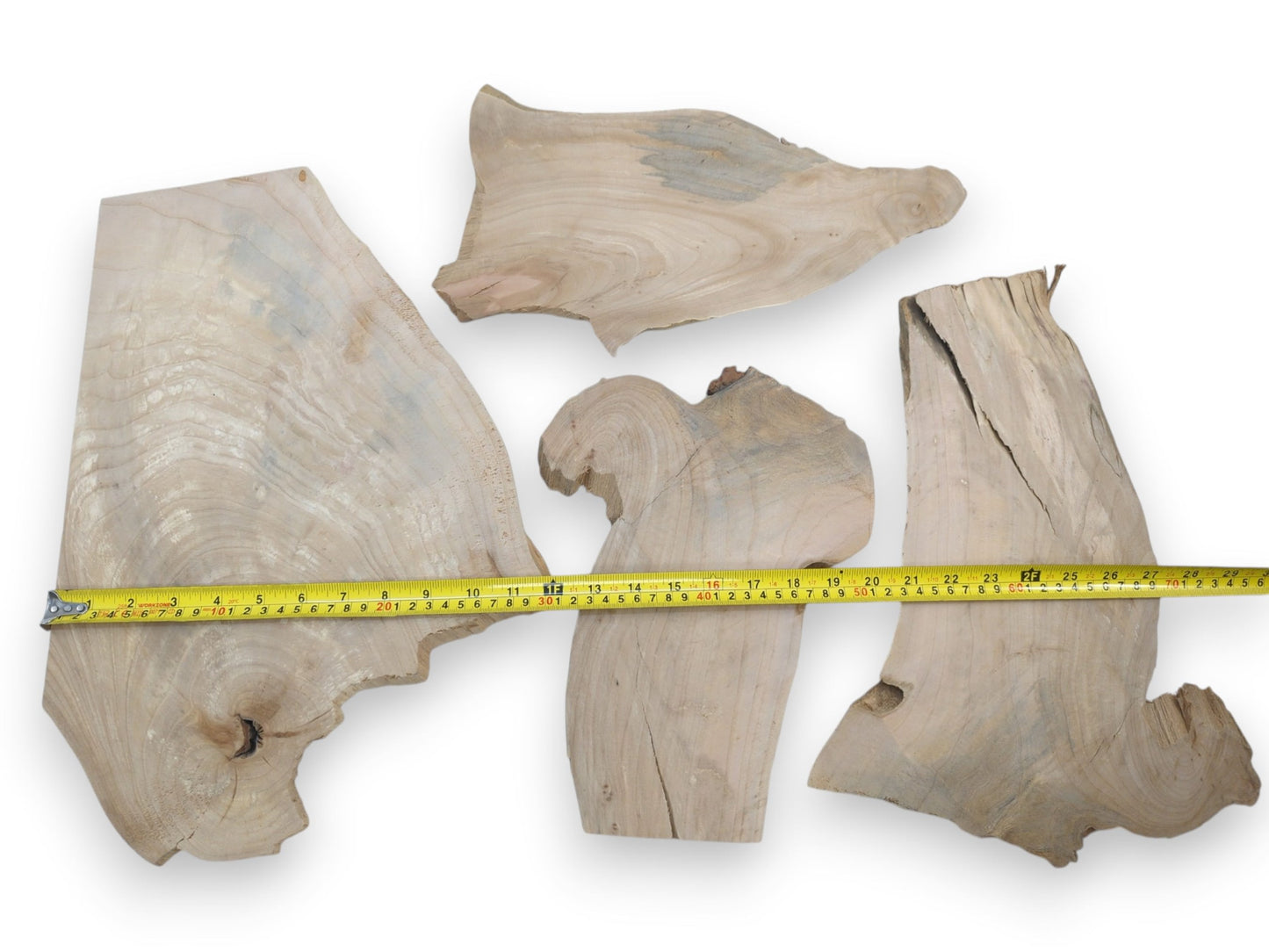 Four light-colored alder wood slices with natural, irregular edges and visible grain patterns.