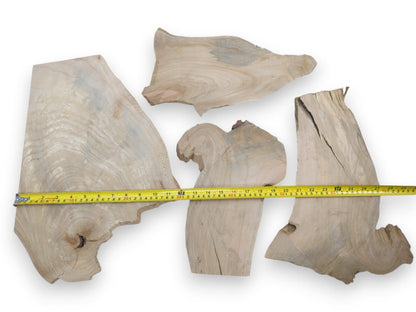 Four light-colored alder wood slices with natural, irregular edges and visible grain patterns.
