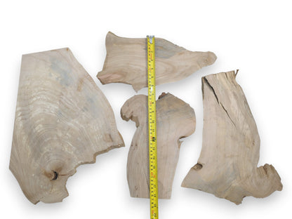 Four light-colored alder wood slices with natural, irregular edges and visible grain patterns.