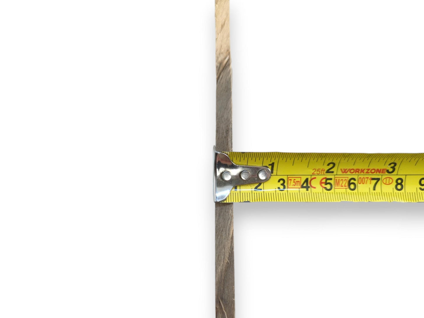 A yellow measuring tape shows the thickness of a thin, light brown alder wood slice.