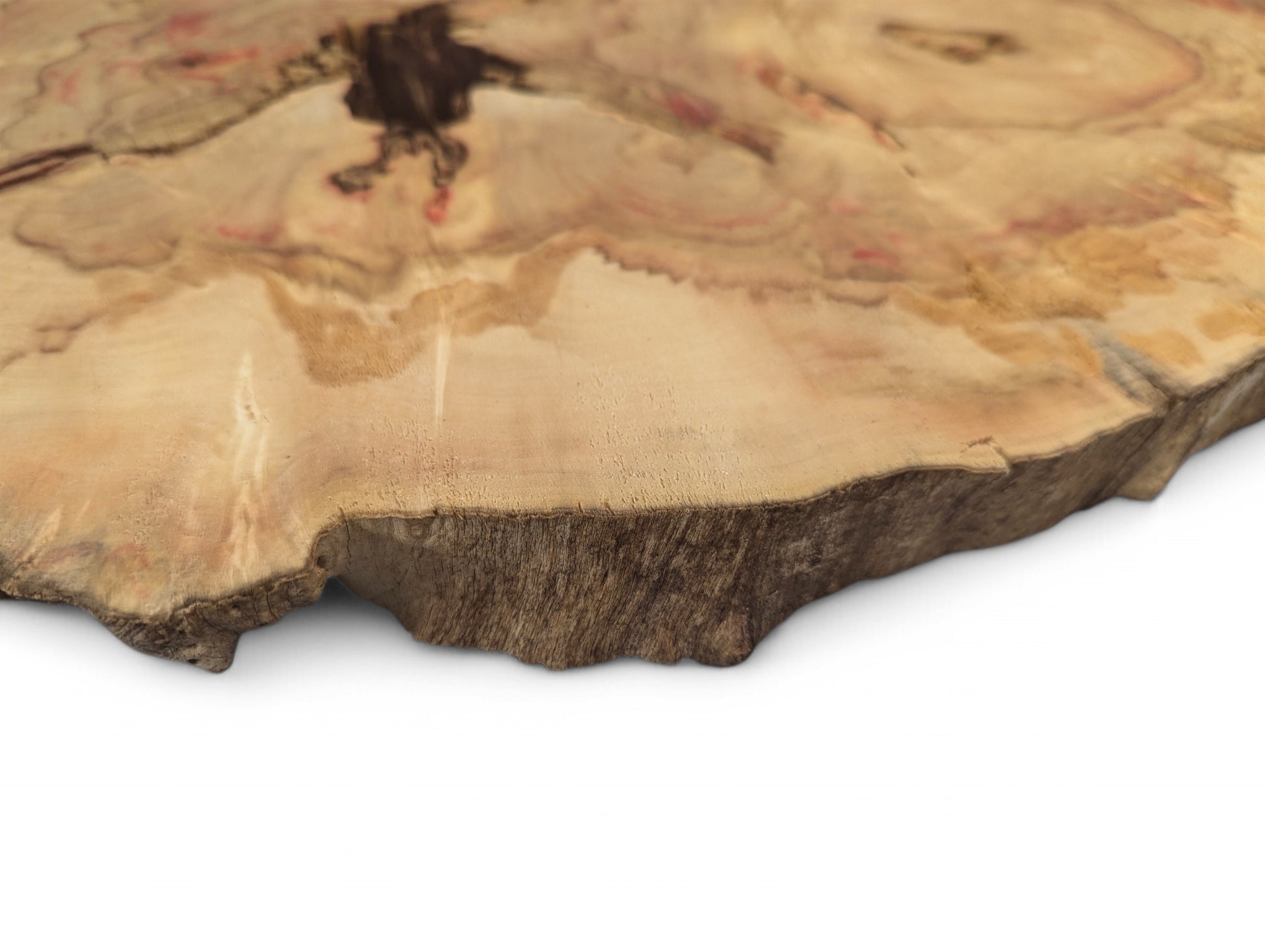 Box Elder root wood slice, pale, with irregular dark live edge, red streaking, and central void.