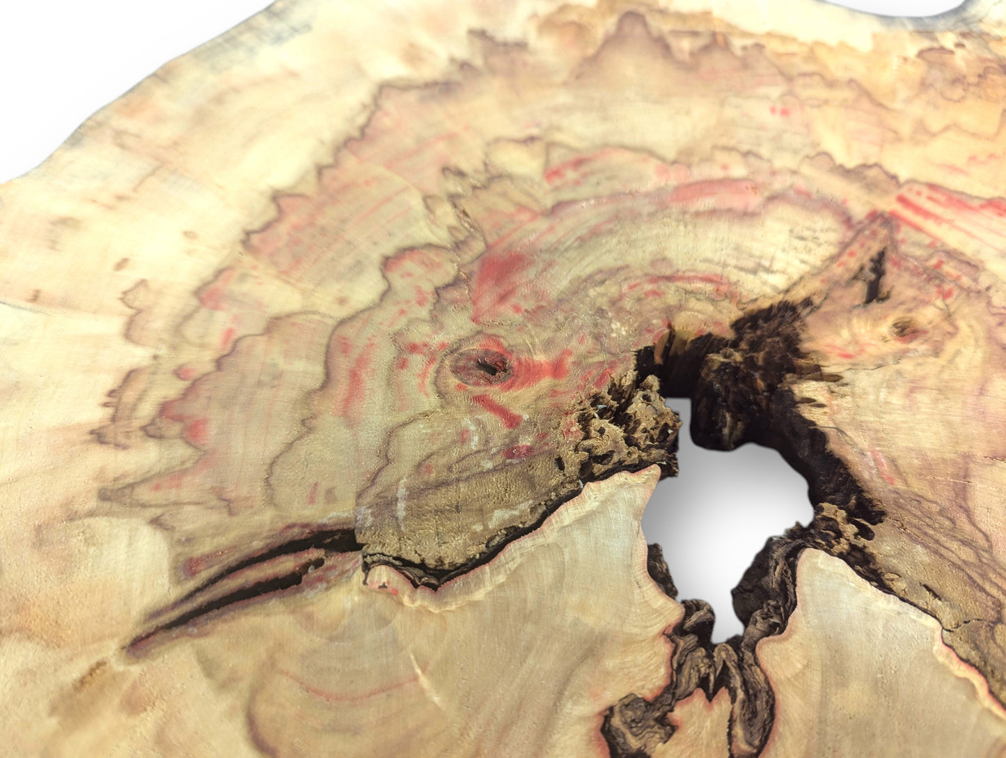 A pale Box Elder wood slice reveals red streaks, distinct swirling grain patterns, and a large irregular void.