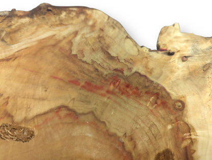 Detail of a pale Box Elder root wood slice showing red streaking, irregular live edge, and a small void.