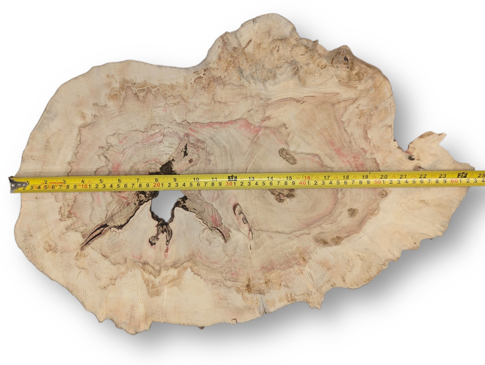 Light-colored Box Elder wood slice, approximately 24 inches wide, with a central void and red streaking.