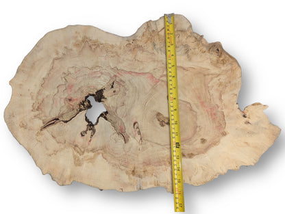 Pale, irregularly shaped Box Elder wood slice with red streaks, dark swirling grain, central void, and measuring tape.