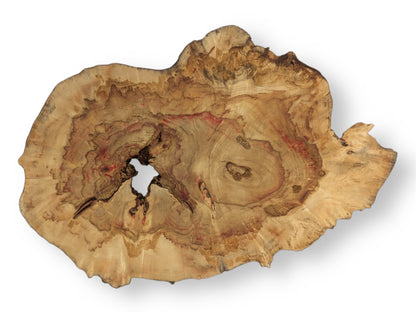 Box Elder wood slice, irregular, featuring pale color, red streaks, dark swirling grain, and a central void.