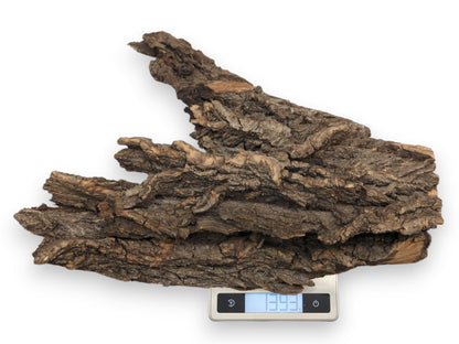 A large piece of gnarled brown tree bark rests on a digital scale showing its weight.