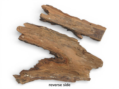 The smoother, fibrous inner surface of two natural wood bark sections is displayed from overhead.