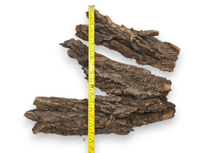 Three pieces of uneven brown tree bark arranged vertically alongside a yellow tape measure for scale.