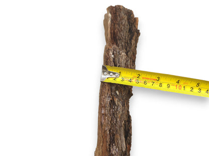 A yellow tape measure held across a single piece of coarse brown bark to demonstrate its width.