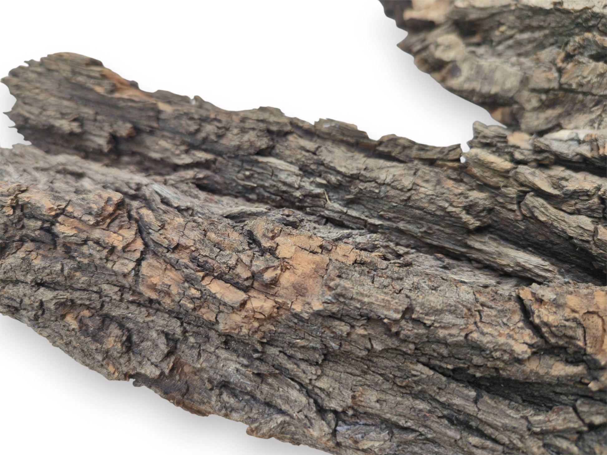 A macro photograph displays the deeply fissured and varied brown and gray texture of wood bark.