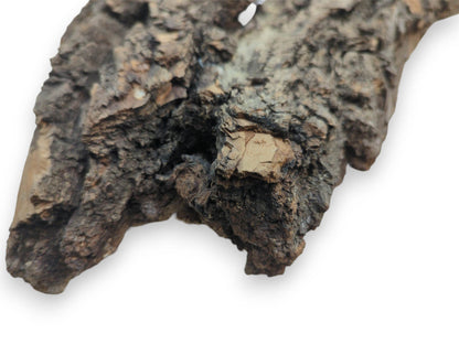 A detailed close-up reveals the rough, layered construction and deep, shadowed crevices of a bark piece.