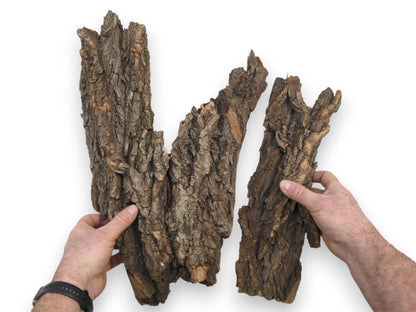 A person holds up two substantial pieces of ridged, brown wood bark, demonstrating their natural size.