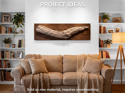 Long Natural Bark Piece, Rustic Craft Material, Organic Wall Art Decor, Plant Display Base #005
