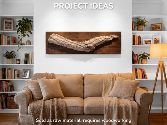 Long Natural Bark Piece, Rustic Craft Material, Organic Wall Art Decor, Plant Display Base #005