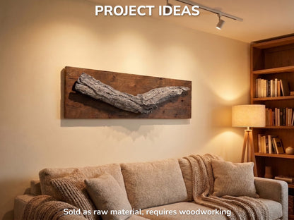 Long Natural Bark Piece, Rustic Craft Material, Organic Wall Art Decor, Plant Display Base #005
