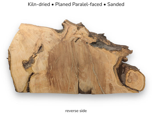 Reverse view of cherry wood root slab displaying natural grain, knots, and text regarding surface preparation.