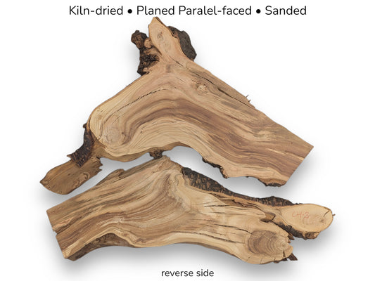 Image with text details showing the reverse side of two textured, tan wood slices with bark edges.