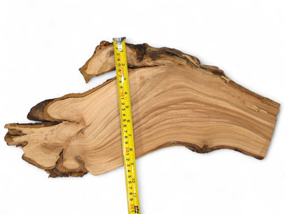 Wood slice, light brown, irregular, displaying wavy grain and dark live edges, with a yellow tape measure.