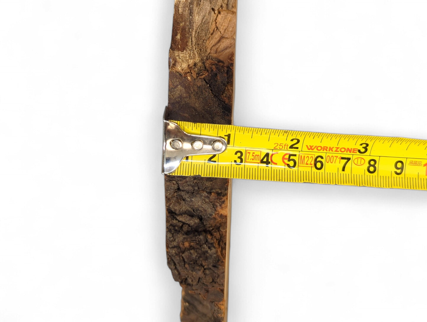 Yellow tape measure indicates the thin width of a dark, textured cherry root slice.