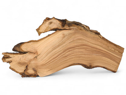Thin, irregularly shaped cherry root wood slice displaying light brown color, wavy grain, and dark live edges.