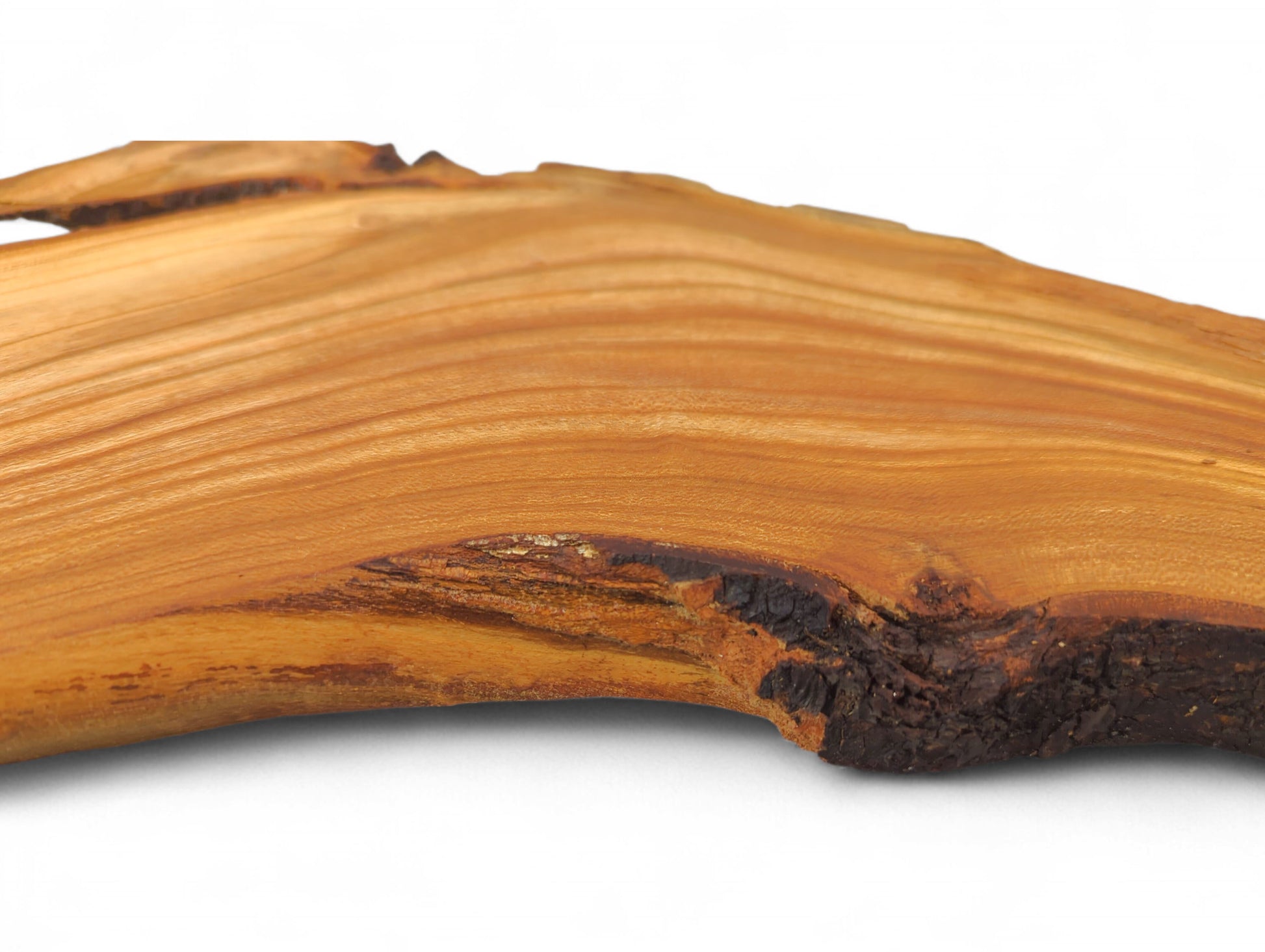 Horizontal view of a reddish-brown cherry wood root slice, natural grain, dark textured live edge.