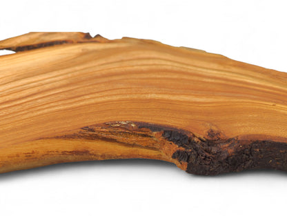 Horizontal view of a reddish-brown cherry wood root slice, natural grain, dark textured live edge.