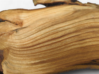 Smooth surface of a cherry root slice, showing light brown color, distinct wavy grain, and a dark edge.