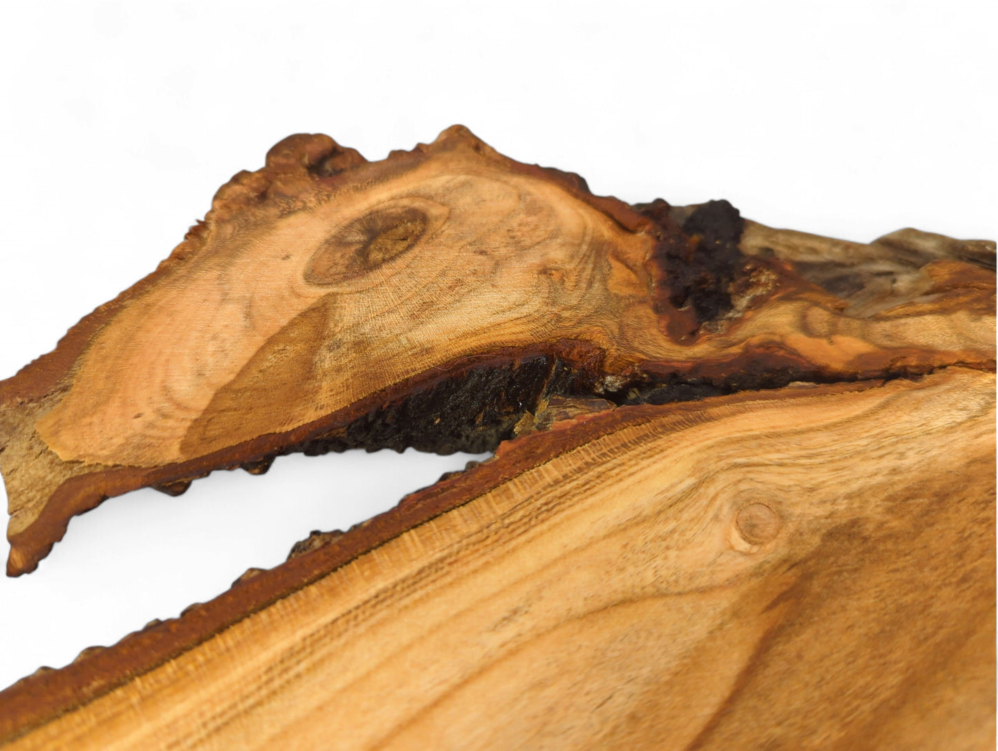 A natural cherry wood root slice, reddish-brown, split down the middle, showing intricate grain and dark edges.