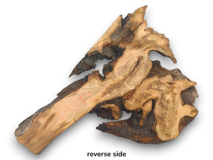 The reverse side of a raw wild cherry wood slab with a gnarled, irregular live edge.