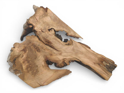 Full view of a raw wild cherry slab highlighting its asymmetrical contours and intricate grain patterns.