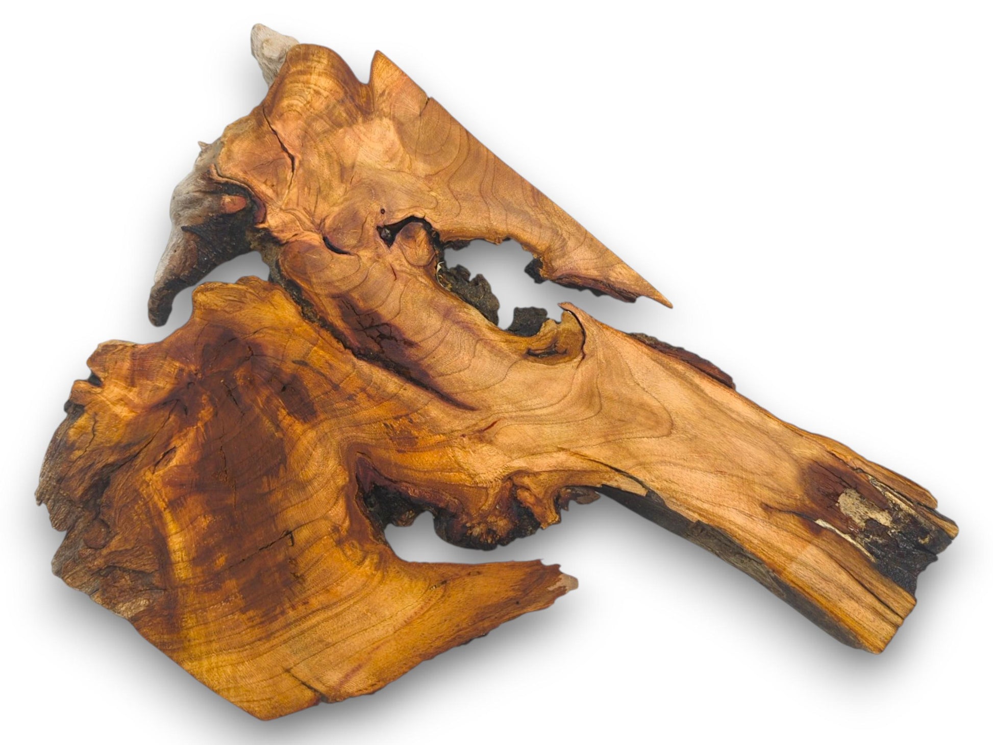 Overhead shot of a wild cherry section with a complex shape and prominent, swirling wood grain.