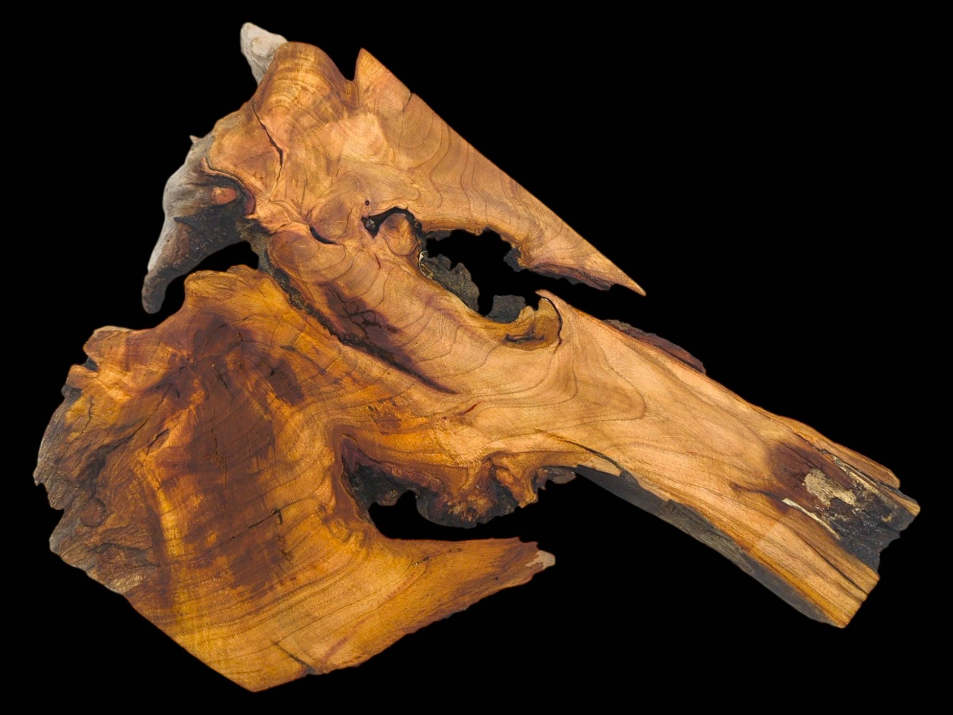 An unusually shaped wild cherry wood piece showing its complex grain, natural voids, and jagged profile.