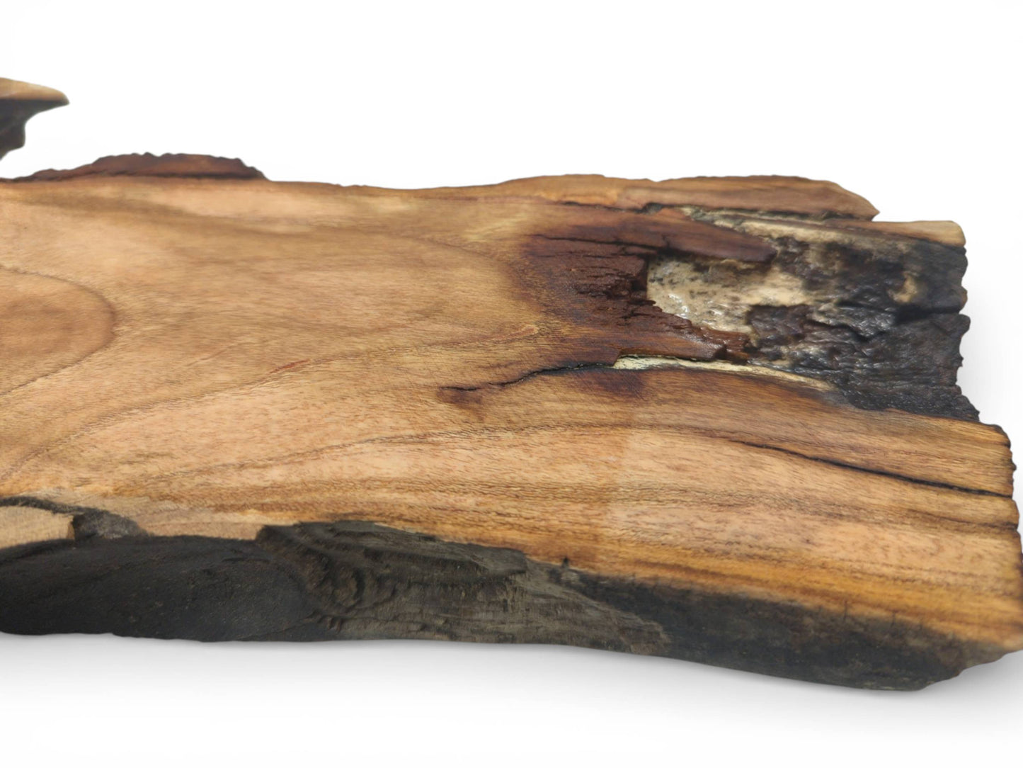 A low-angle view of a cherry wood piece, emphasizing the rough, darkened character of the live edge.