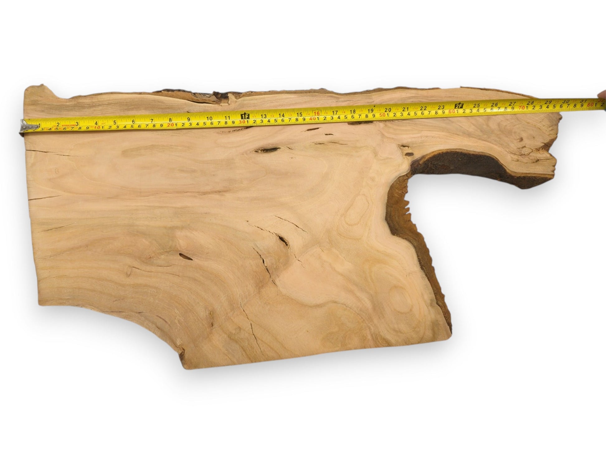 Overhead shot of a natural-edged cherry slab with a measuring tape gauging its longest horizontal axis.