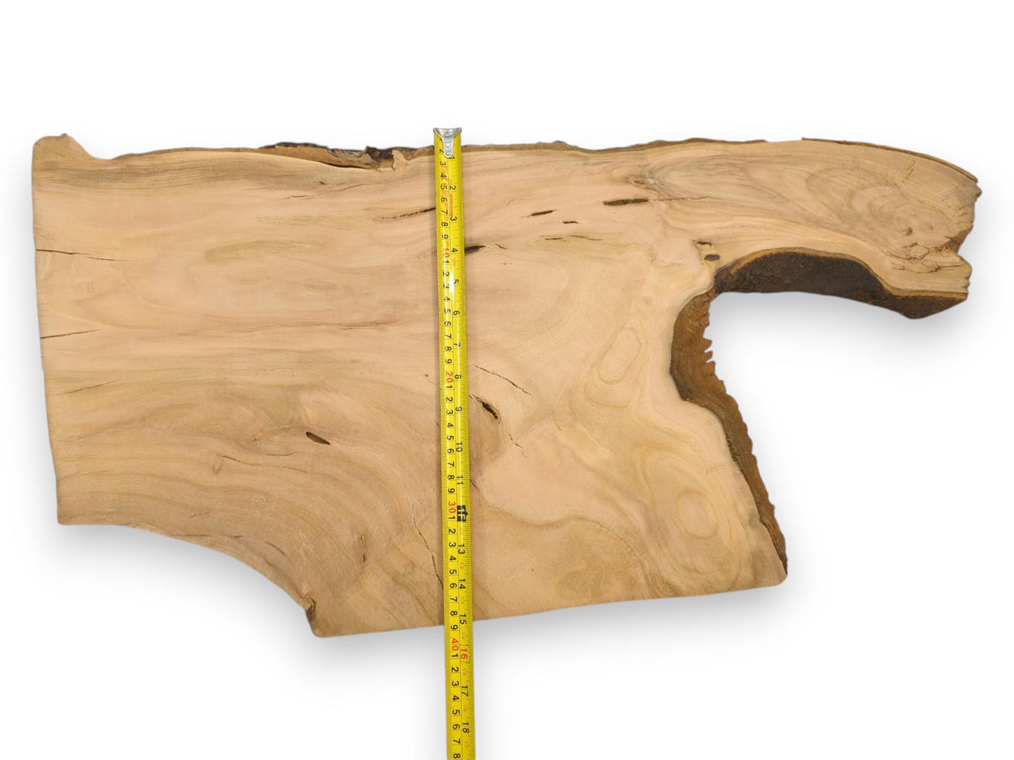 An irregularly shaped cherry wood slab laid flat, with a tape measure showing its vertical dimension.