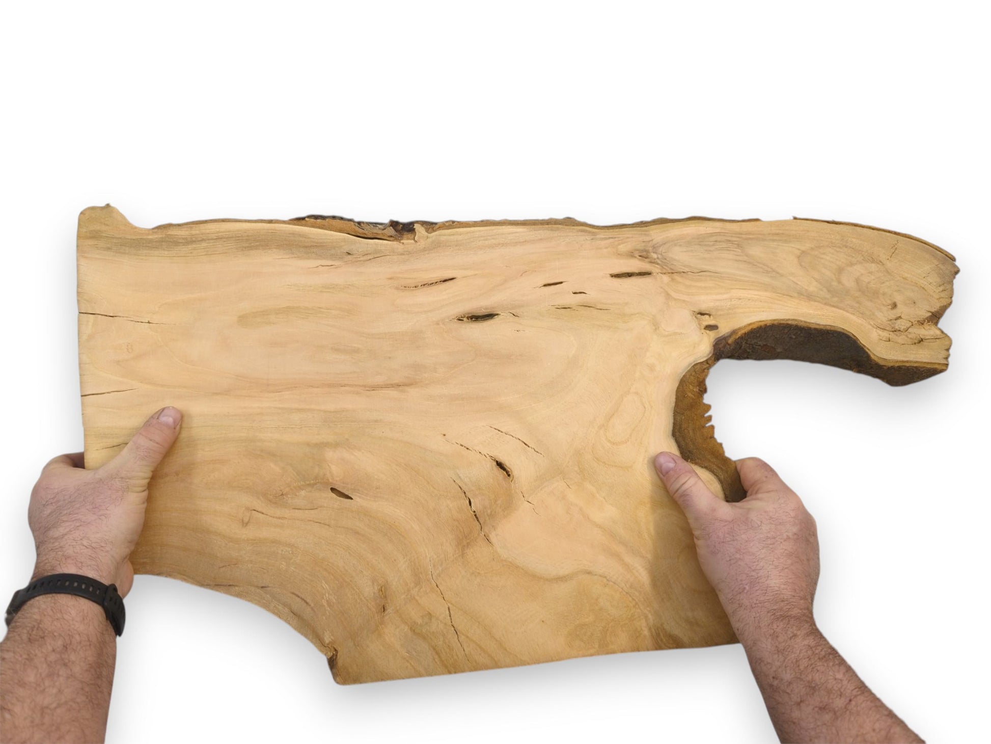 A person holds a raw, light-toned cherry wood slab, displaying its smooth surface and dark bark.