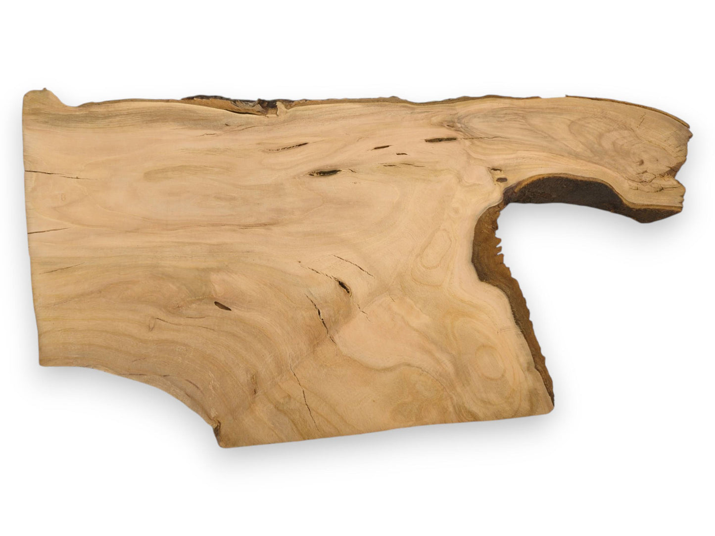 Overhead view of a light-toned cherry plank with an organic form and dark, natural bark trim.