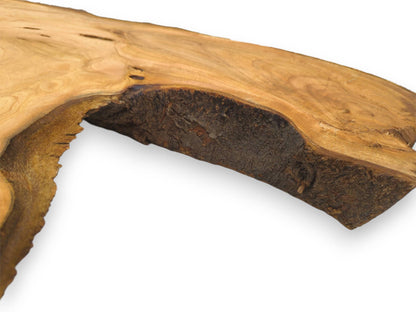 A perspective on the dark, textured bark lining a deep, recessed curve in the wood slab.