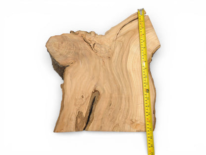 A raw cherry wood board shown from above with a tape measure demonstrating its vertical dimension.