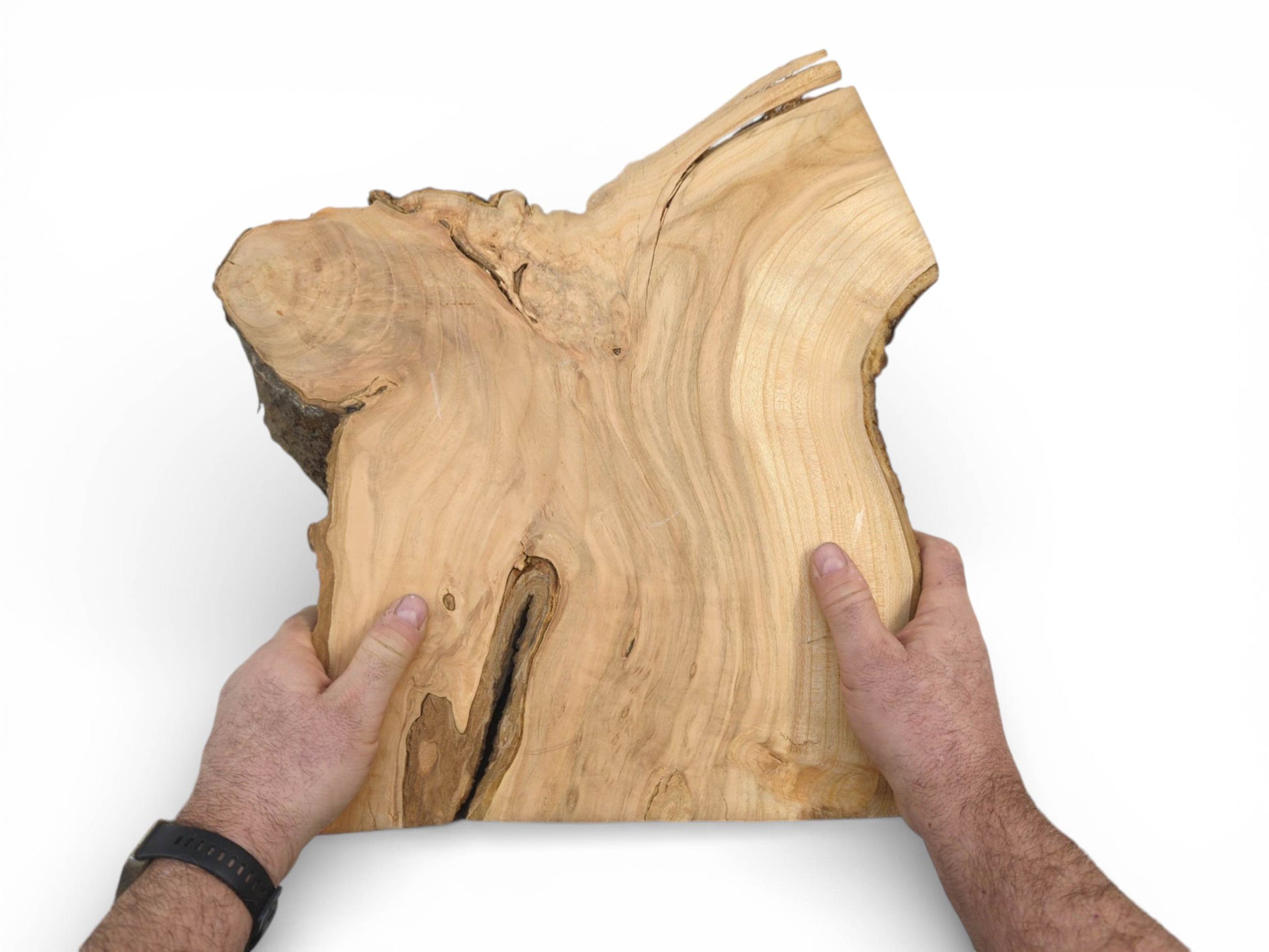 A person holds a light-toned, unfinished cherry wood board, displaying its organic shape and figuring.