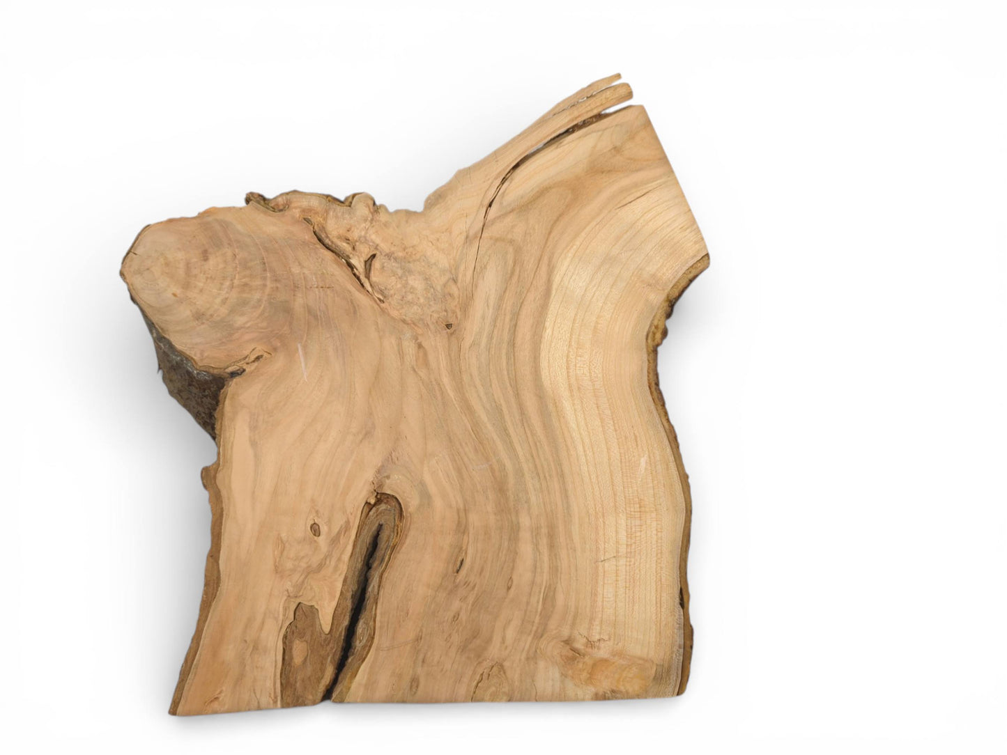 An unprocessed slab of cherry wood with its live bark edge, photographed from directly above.