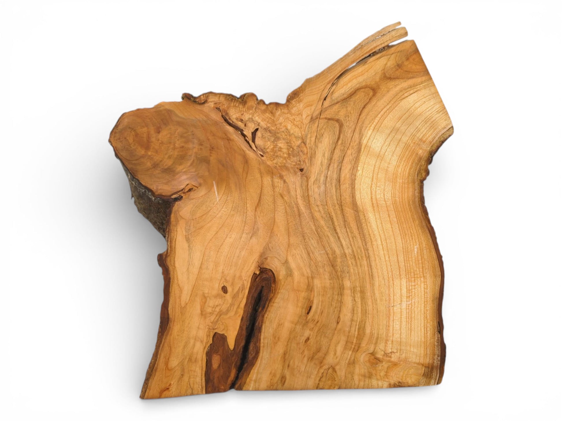 Overhead view of a raw wild cherry slab highlighting its swirling wood grain and natural, irregular contours.