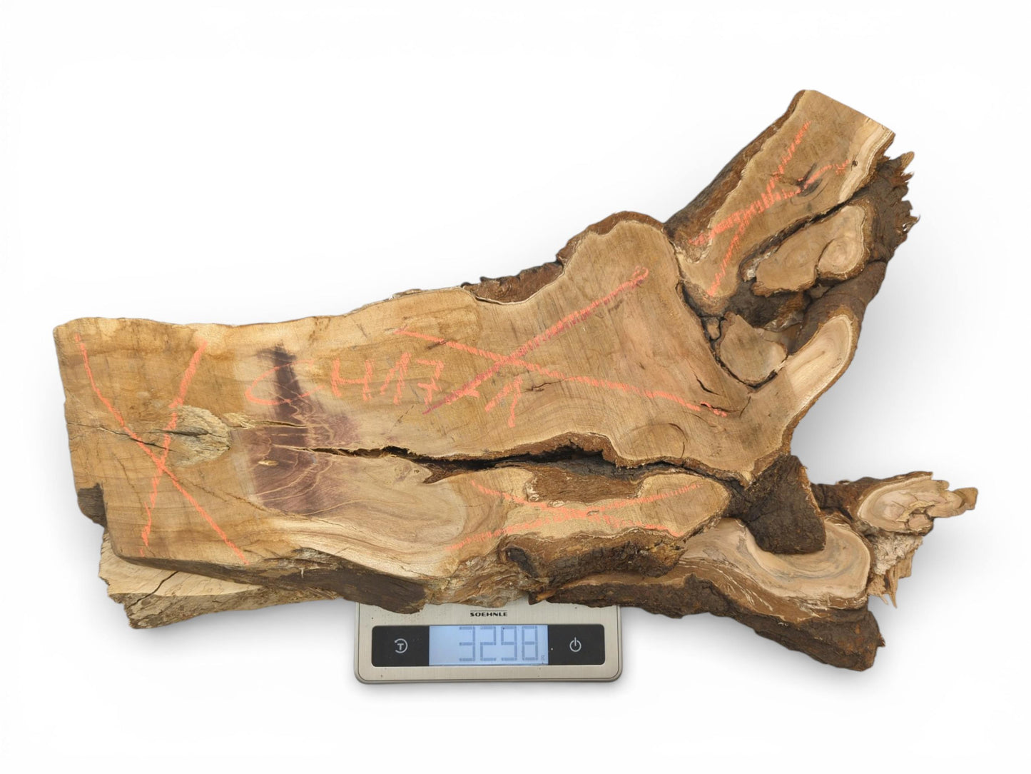 A figured cherry wood burl with raw bark sits on a scale displaying its exact weight.