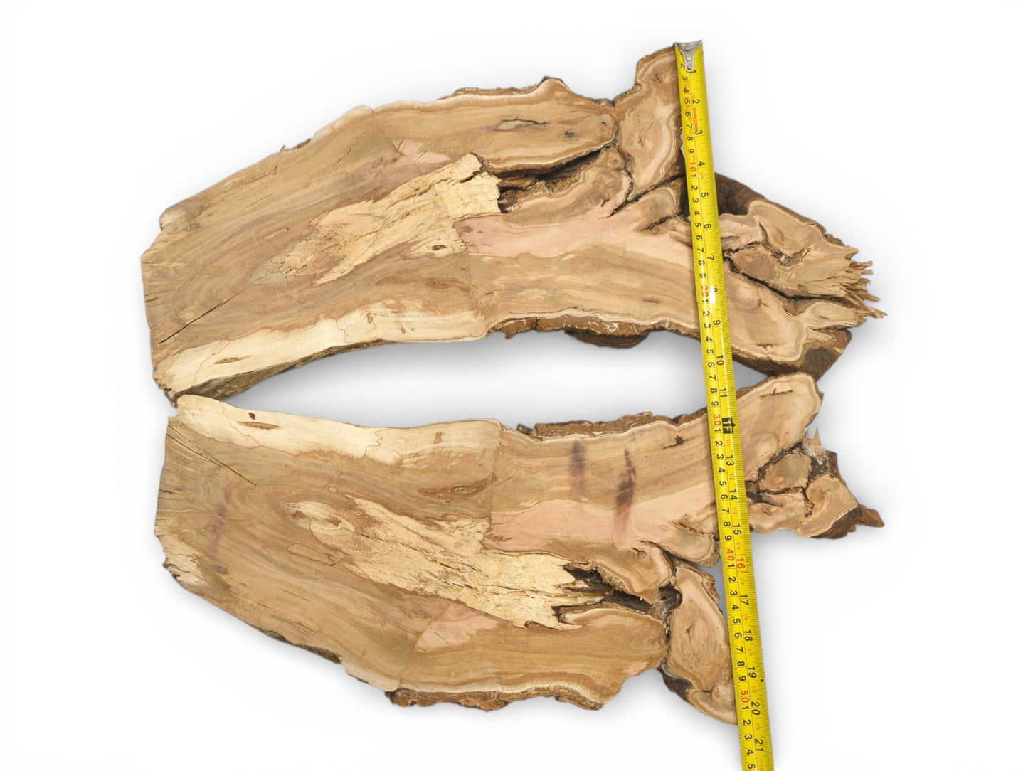 Two irregular cherry wood slab sections positioned on a white surface with a vertical measuring tape.